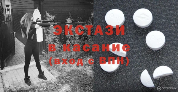 PSILOCYBIN Алзамай