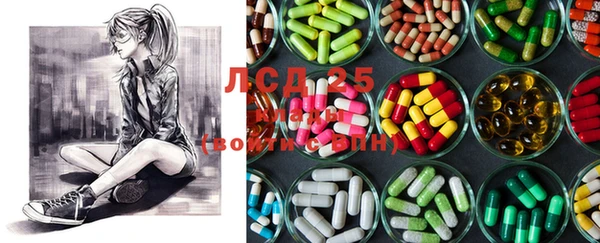PSILOCYBIN Алзамай