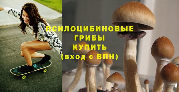 PSILOCYBIN Алзамай