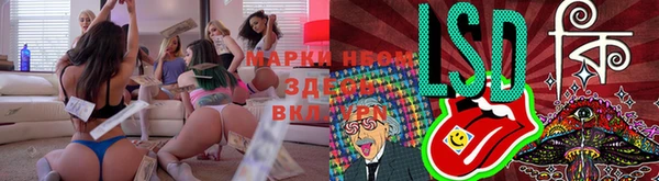 PSILOCYBIN Алзамай