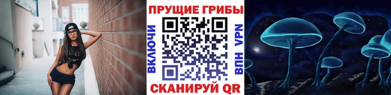 Галлюциногенные грибы Magic Shrooms  МЕГА маркетплейс  Полтавская 